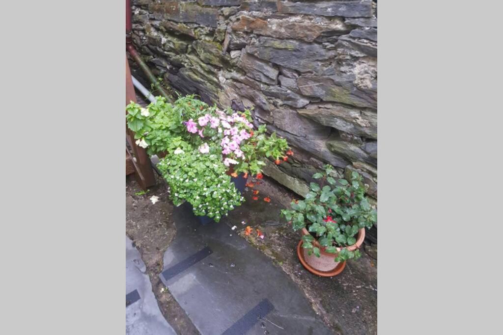 Porthmadog Harbour Town - High Street Apartment. Exterior foto